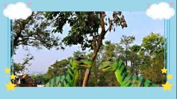 -恐龙探索乐园(磁器口店)