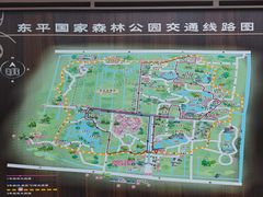 -东平国家森林公园