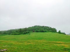 -关山草原