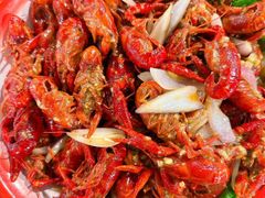 -东北田记家常菜