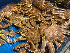 -开海·红岛海鲜虾水饺(石老人店)