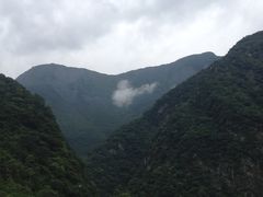 -洋山深水港