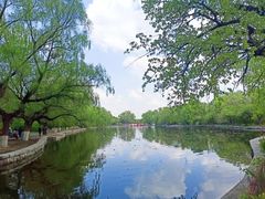 -北陵公园