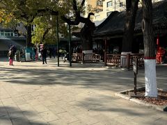 -文瀛公园