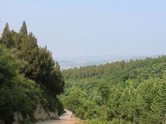 -原山国家森林公园