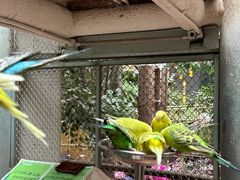-正佳雨林生态植物园