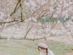 -香雪海