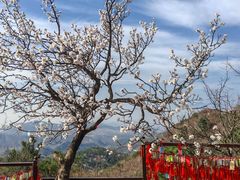-香山公园