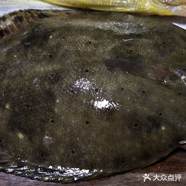 金厢赶海记