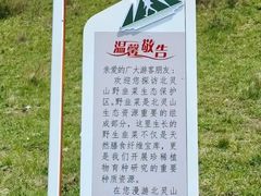 -灵山