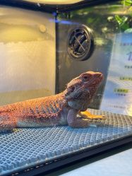 -酷嗒动物文化乐园(cutezoo西溪乐天城店)