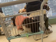 -怪兽屋·羊驼·猫咖·狗咖(俊华广场店)