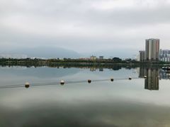 -飞来湖湿地公园