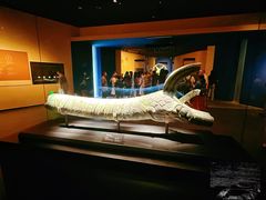-三星堆博物馆