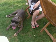 -北京房车博览中心