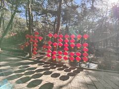 -红螺寺