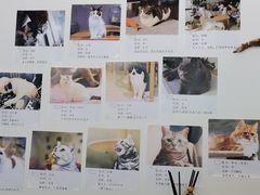 -平行世界·猫咖(首经贸店)