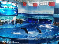 -多彩贵州城极地海洋世界