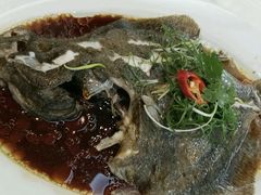 清蒸龙趸鱼-雅园大酒楼(东门店)