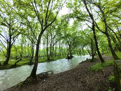 -西溪南古村落景区