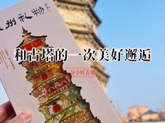 -辽代双塔