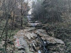 -波尔登森林公园