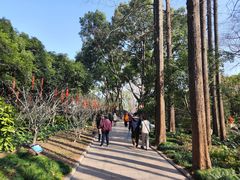 -上海醉白池公园