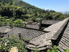 -杨家堂村