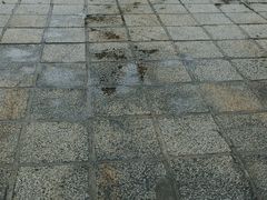 -鼓浪屿·皓月园