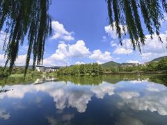 -浙江农林大学(东湖校区)