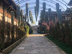 -茅山东方盐湖城景区