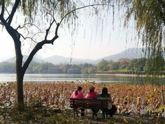 -苏堤停车场