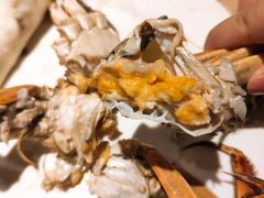 蟹膏-星伦多自助料理(花山金鹰店)