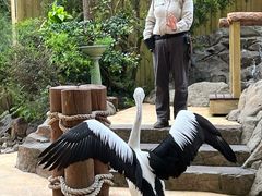 -可伦宾野生动物保护区