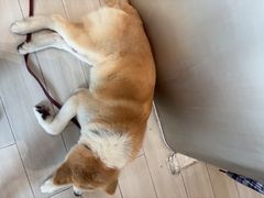 -YCHL Studios健身工作室(市二宫店)