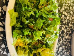 -油梨树AVOCADO TREE(顺义新国展店)