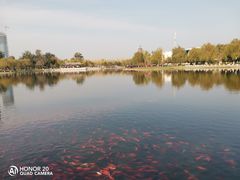 -西海子公园