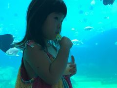 -瑞德姆美人鱼海底演艺主题餐厅(亚龙湾店)