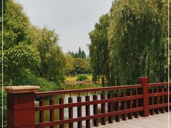 -上海滨江森林公园
