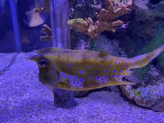 -太平洋海底世界