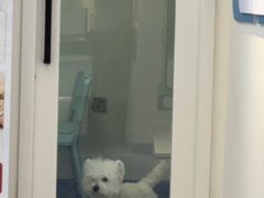 -全心全意动物诊疗中心医院(北苑店)