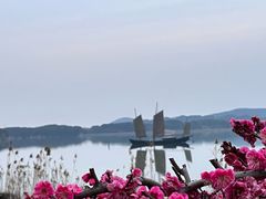 -香雪海