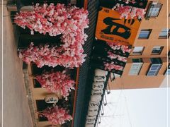 -三月居酒屋(青年大街店)