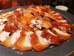 -守柴炉烤鸭(科华中路王府井店)