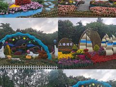 -上海共青森林公园