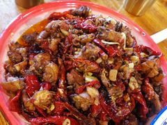 -柴窝堡22号辣子鸡·传承新疆菜