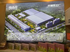 -福晶园益生菌蛋糕面包(紫荆山店)