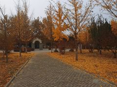 -中国铁道博物馆(东郊展馆)