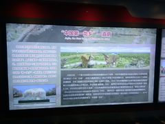-嘉荫恐龙国家地质公园