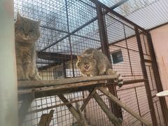 -青藏高原野生动物园